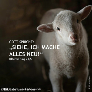 Jahreslosung_2026 1080x1080px - 9